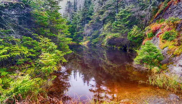 Pracht van New England gebladerte scenario in de herfst — Stockfoto