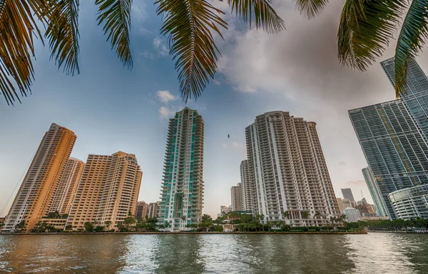 Brickell Key, Miami. Skyline dal centro — Foto Stock