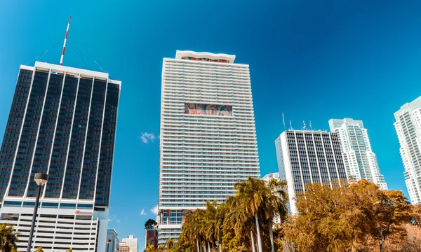 マイアミの美しいスカイライン。都市の建物や高層ビル — ストック写真