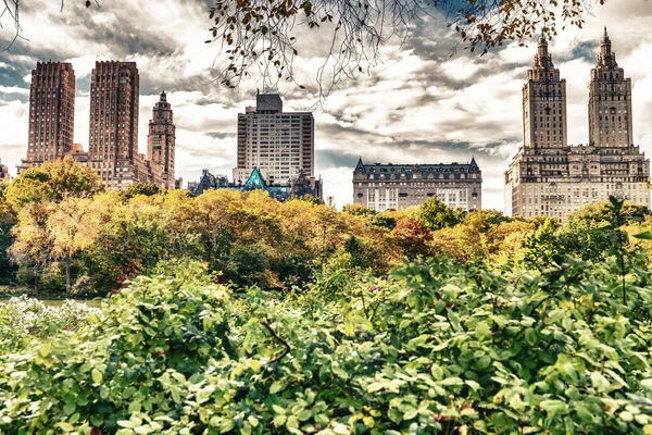 美しい葉色ニューヨークのセントラル ・ パーク — ストック写真