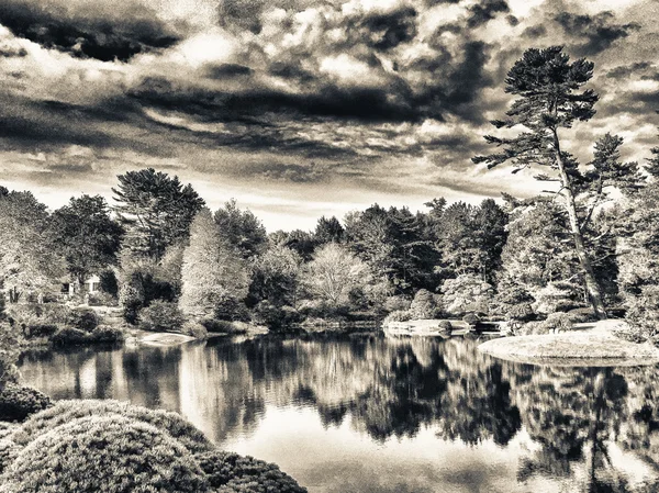 Красивое озеро и красочные деревья Новой Англии у лиственного моря — стоковое фото