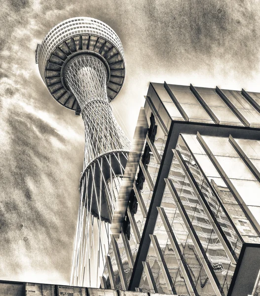 Sydney Tower and city skyscrapers — Stock Photo, Image