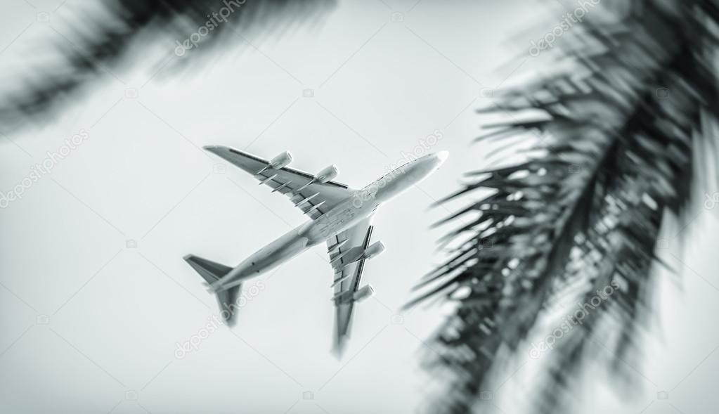 Airplane flying between palms. Travel concept