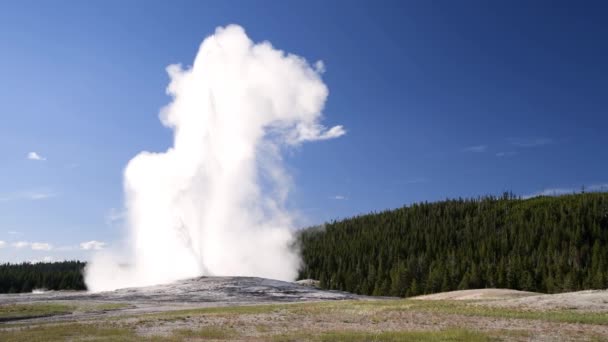 Θερμές πηγές, Παλιά Πιστή έκρηξη Geyser, Άνω λεκάνη Geyser, Yellowstone, ΗΠΑ — Αρχείο Βίντεο