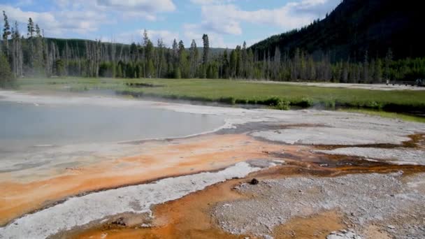 Zwembad en geiser van Yellowstone National Park — Stockvideo