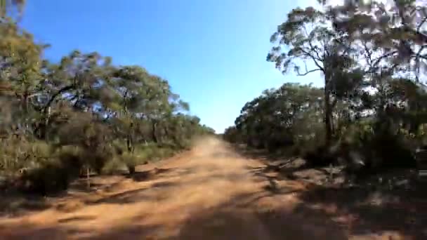 Camino áspero a través del bosque como se ve desde la parte posterior de un coche en movimiento rápido. Polvo, árboles y cielo azul — Vídeos de Stock