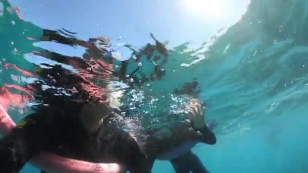 Rodinné šnorchlování na korálovém útesu. Zpomalený pohyb — Stock video