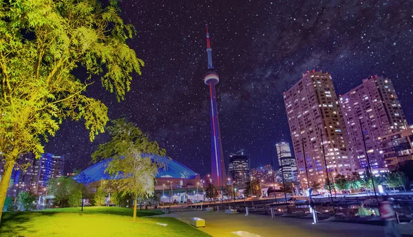 Toronto City Skyline Waterfront Park Beautiful Starry Night — Stock Photo, Image