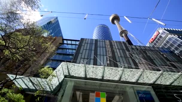悉尼，澳大利亚- 2018年8月：美丽天气下的城市摩天大楼街景 — 图库视频影像