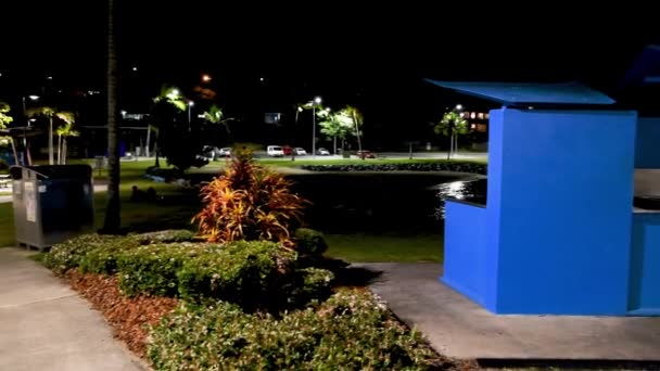 PLAYA DE AIRLIE, AUSTRALIA - AGOSTO 2018: Colores nocturnos del hermoso Parque de los Hadas — Vídeos de Stock