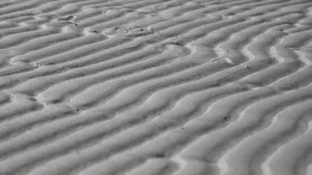 Sanddyner på en vacker tropisk strand — Stockvideo