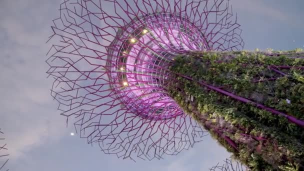 SINGAPUR - 4 DE ENERO DE 2020: Jardines junto a la bahía con los Súper Árboles al atardecer en el área de Marina Bay — Vídeos de Stock