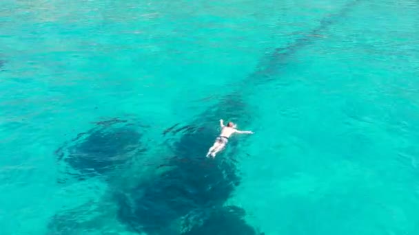 Légi felvétel úszó úszás a kristálytiszta óceán — Stock videók