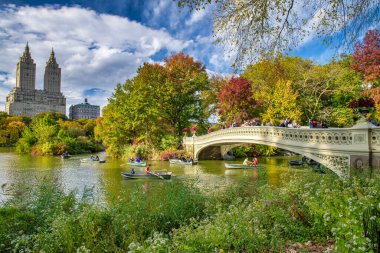Sonbaharda Central Park 'tan New York' un binaları.