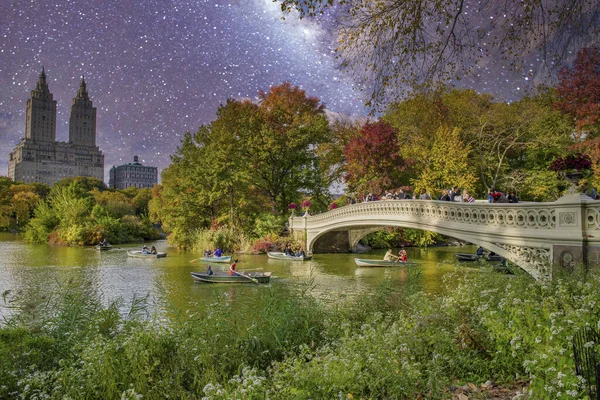 Central Park Und Manhattan Wolkenkratzer Unter Einer Sternenklaren Nacht New — Stockfoto