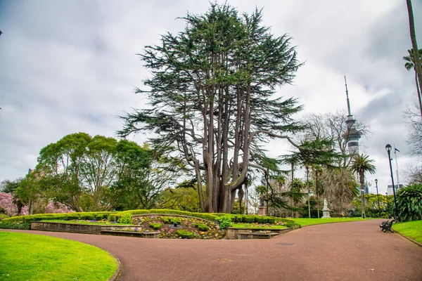 Albert Park Stadsgebouwen Auckland — Stockfoto