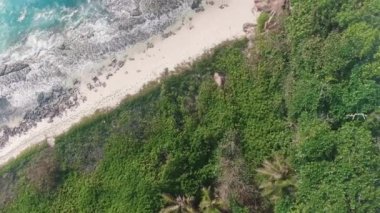 İnsansız hava aracından alınan deniz ve palmiyeli tropik plaj. Seyşeller 'in ünlü plajı - La Digue Grand Anse' nin havadan çekilmiş fotoğrafı