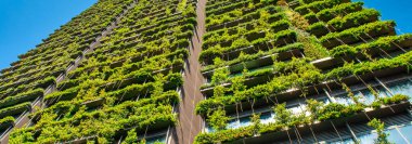 SYDNEY, AUSTRALYA - 6 Kasım 2015: Yukarı bakan bir Central Park Binası. Ön cephesinde bitkiler büyüyen yeşil gökdelen binası. Kentte ekoloji ve yeşil yaşam, kentsel çevre kavramı.