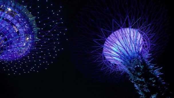 シンガポール- 2020年1月3日:夜にスーパーツリーを持つ湾の庭 — ストック動画