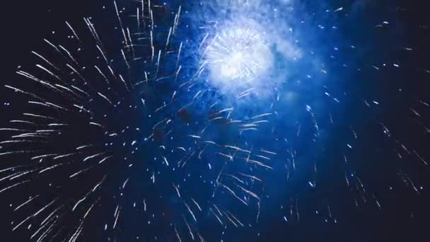 Vacker fyrverkeri symfoni på en sommarnatt, slow motion — Stockvideo