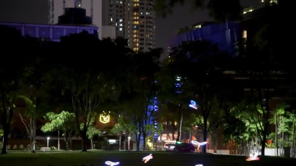 Cititas voladoras por la noche en un parque de la ciudad, Singapur — Vídeo de stock