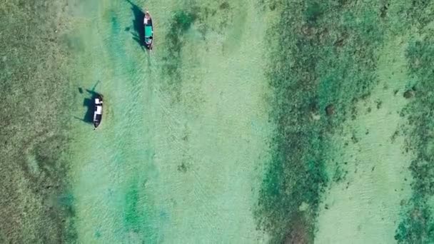 Incroyable vue aérienne des bateaux à queue longue sur un rivage de la plage de Thaïlande — Video