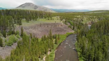 Bulutlu bir günde Ormanın ortasında Yellowstone nehri