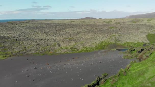 Djupalonssandur pobřeží a hory na Islandu. Úžasný výhled na dron v letní sezóně — Stock video
