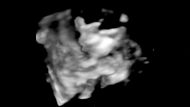 Mozione di ecografia ad ultrasuoni 4D dell'utero materno di un bambino. Concetto di vita, scoperta scientifica — Video Stock