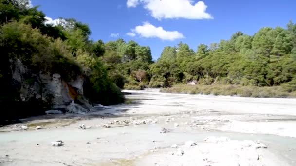 Waiotapu termiska pooler, Nya Zeeland — Stockvideo