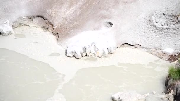 美国怀俄明州黄石公园的Mud Geyser — 图库视频影像