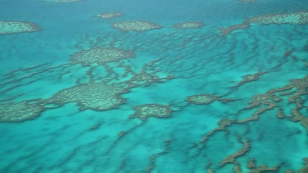 Vista della barriera corallina da un aereo volante. Rallentatore — Video Stock