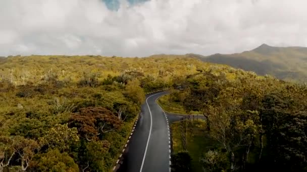 島の森を横断する美しい道路、空中ビュー — ストック動画