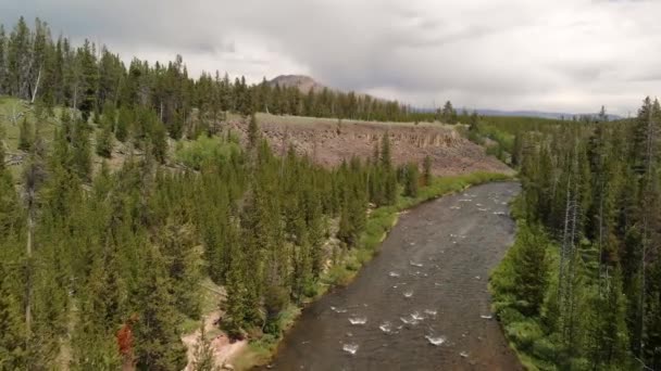 Yellowstone river in Yellowstone National Park, aerial view — Stock Video