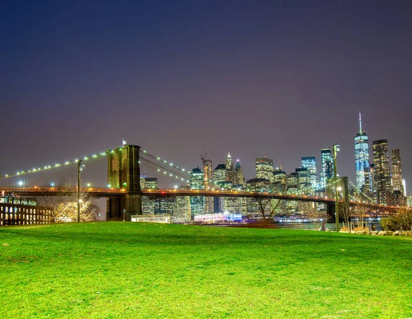 Ponte Brooklyn Notte Con Skyline Manhattan Sullo Sfondo Prato Verde — Foto Stock