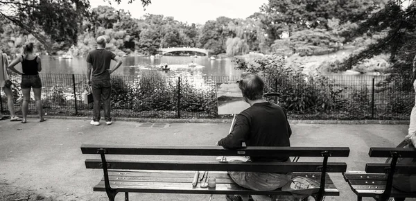 New York City Juni 2013 Vacker Utsikt Över Central Park — Stockfoto