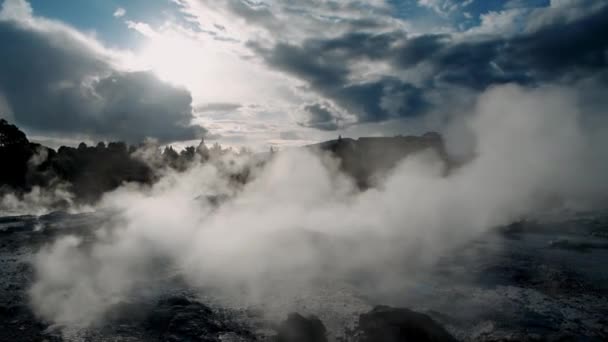 Geysers Pools with Steam, Nuova Zelanda. Rallentatore — Video Stock