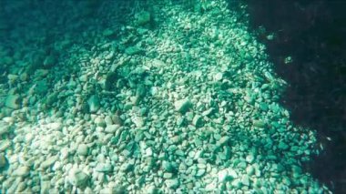 Su altı deniz yaşamı, İtalyan okyanusu.