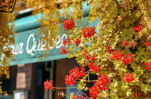 Québec Fleurit Long Des Rues Ville Canada Saison Estivale — Photo