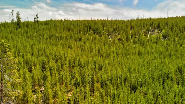 Vue Aérienne Rivière Yellowstone Par Une Journée Été Wyoming — Photo