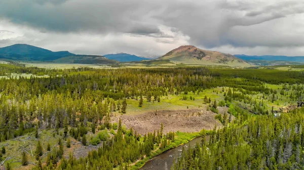 Letecký Pohled Yellowstone River Letním Dni Wyoming — Stock fotografie