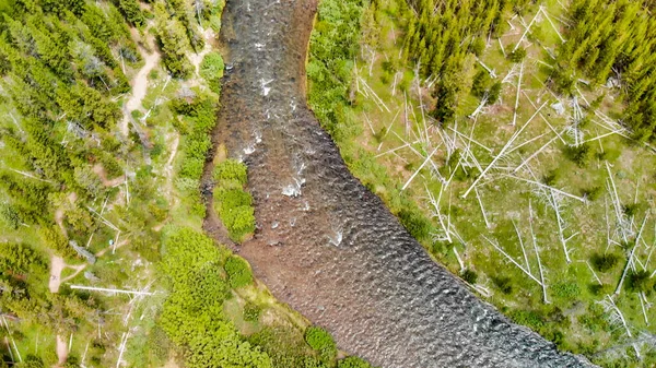 Αεροφωτογραφία Του Ποταμού Yellowstone Μια Καλοκαιρινή Μέρα Γουαϊόμινγκ — Φωτογραφία Αρχείου