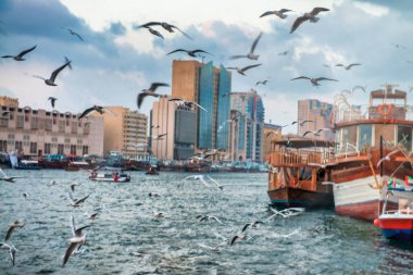 DUBAI, BAE - 9 Aralık 2016: Deira 'da Dubai Deresi boyunca martıları ve binaları olan tekneler.