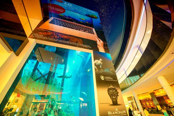 Dubai Vae Dezember 2016 Dubai Mall Mit Berühmtem Aquarium Und — Stockfoto