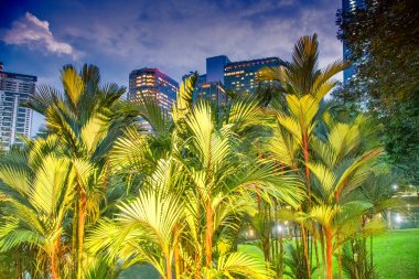 Kuala Lumpur KLCC Parkı ve şehir geceleri gökyüzü, Malezya.