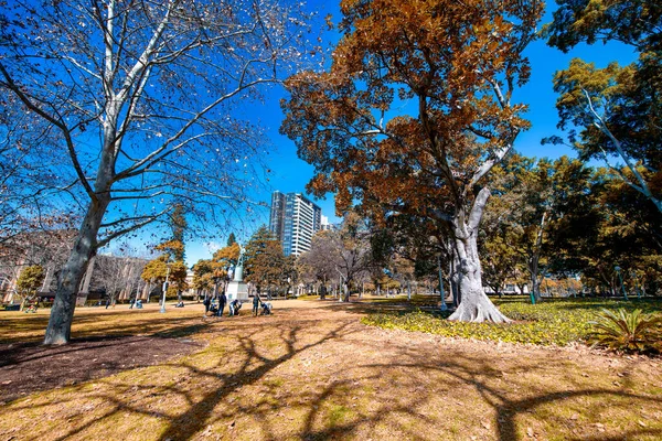 Sydney Augusti 2018 Sydney Hyde Park Vacker Solig Dag — Stockfoto