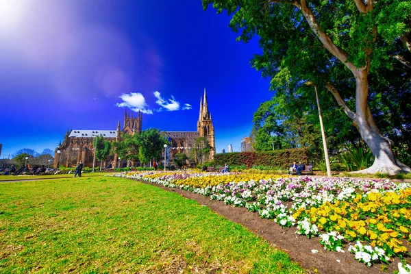 Sydney Ausztrália August 2018 Hyde Park Szent Mária Katedrális Egy — Stock Fotó