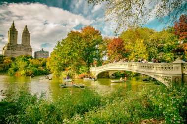 Sonbaharda Central Park 'tan New York' un binaları.