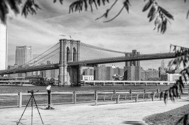 Brooklyn Köprüsü 'nden New York Park' a.