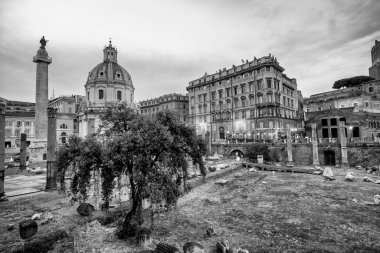 ROME, ITALY - Haziran 2014: Roma 'da Trajan Forum veya Foro Traiano' nun Antik kalıntıları.